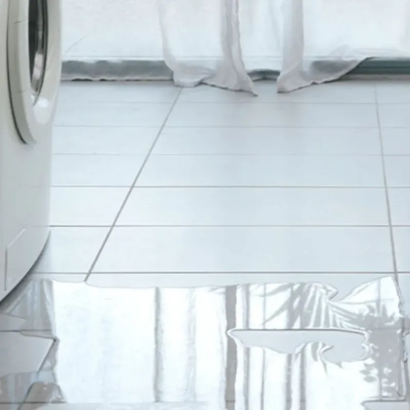 Appliance Leak Cleanup in Darien, GA