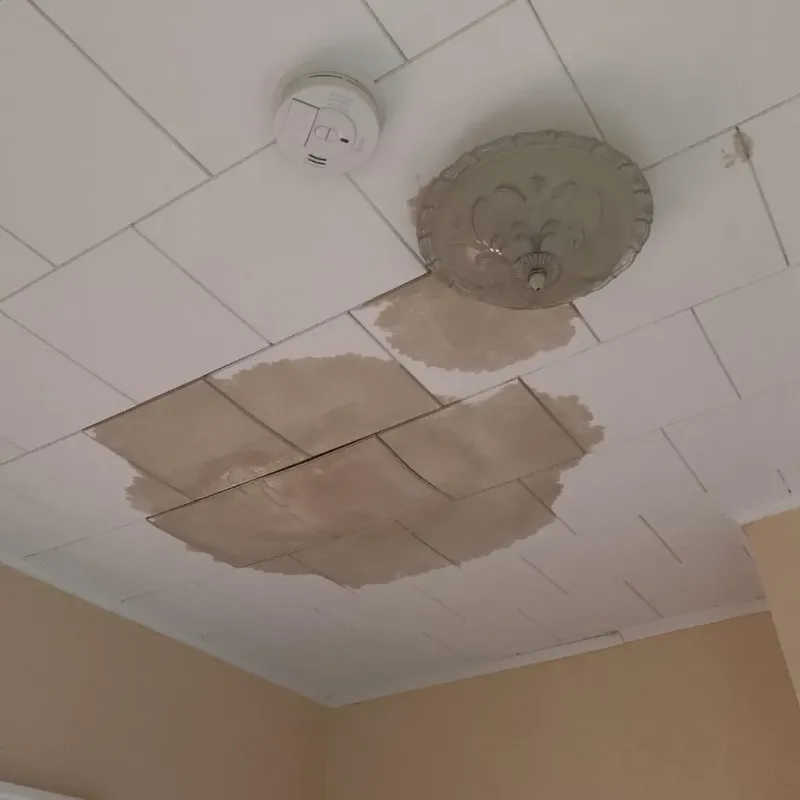 Ceiling Water Damage Repair in Darien, GA