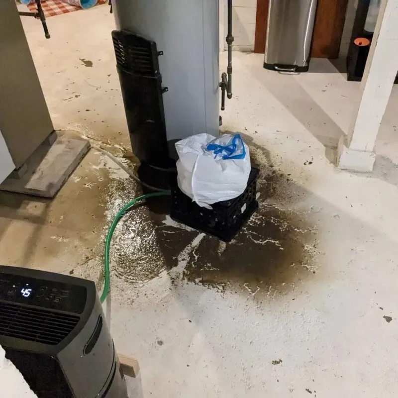 Sewage Backup Cleanup Service in Darien, GA
